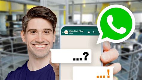 WhatsApp Kundenservice: Fragen stellen per WhatsApp.